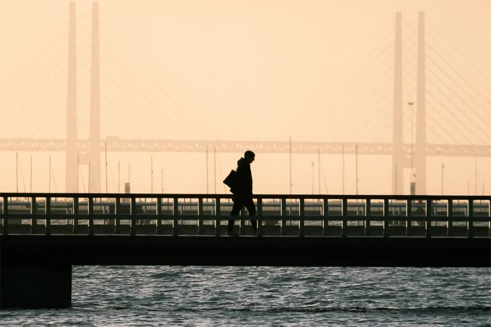 A person standing on a bridge